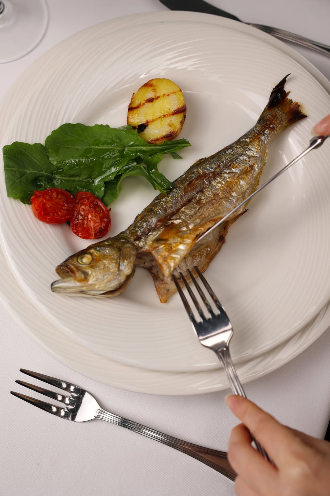 Fish Varieties