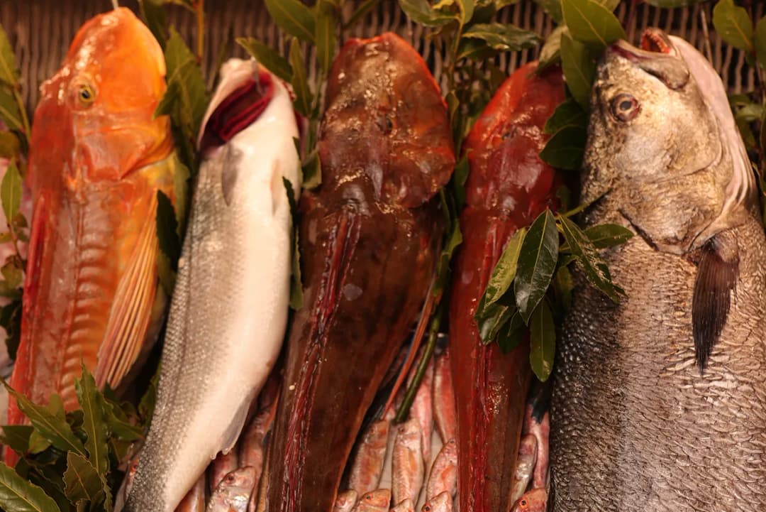 Balık Seçerken Nelere Dikkat Edilmeli?