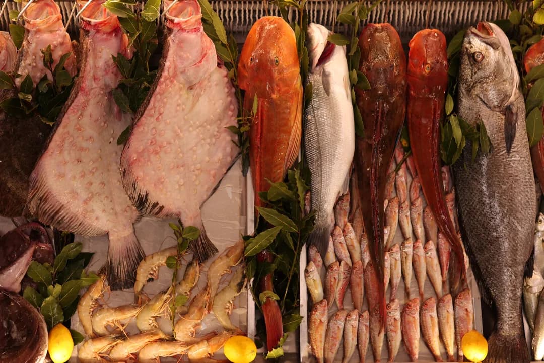 What to Look for When Choosing Fish?